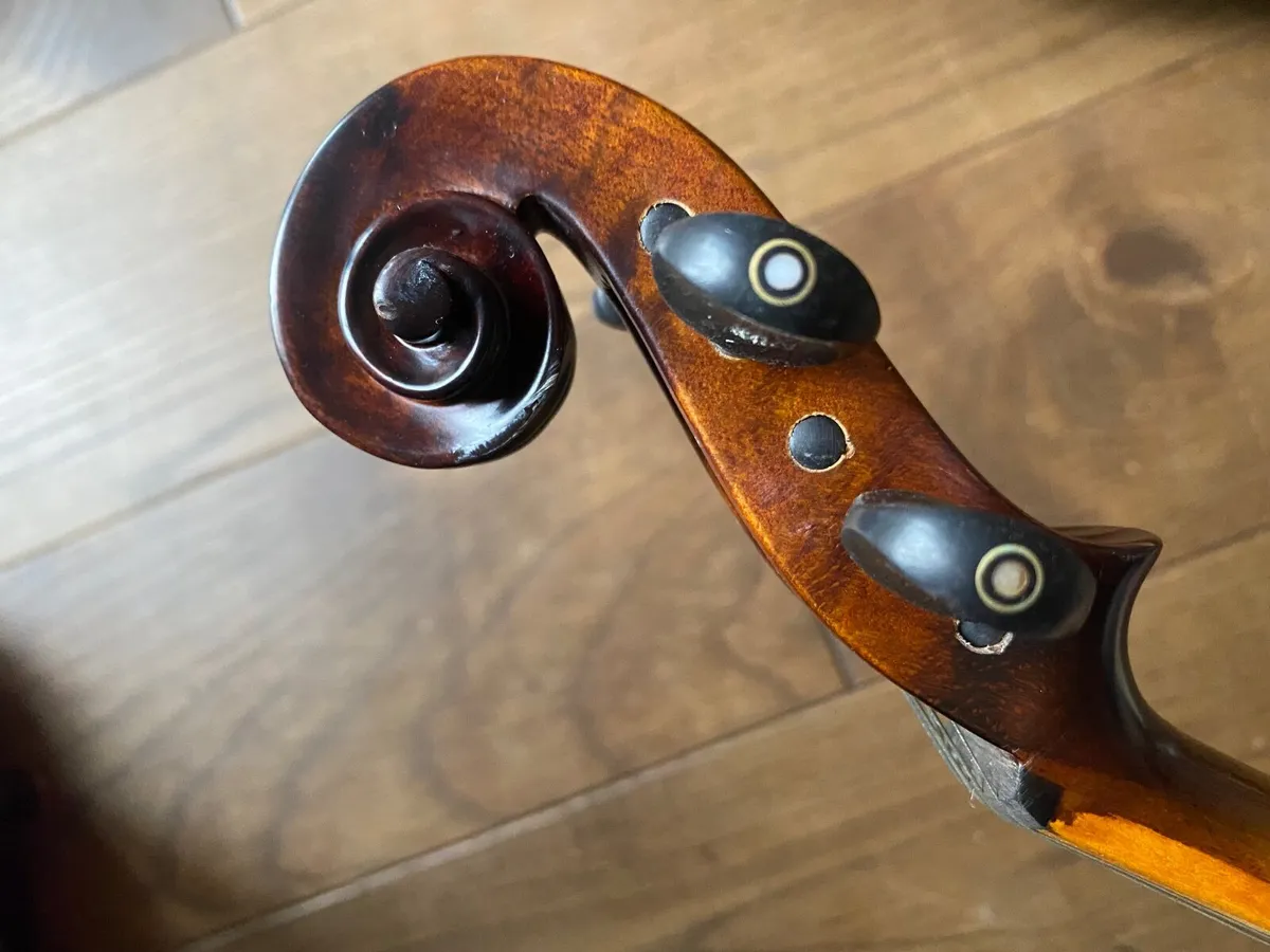 5 strings violin - Image 3