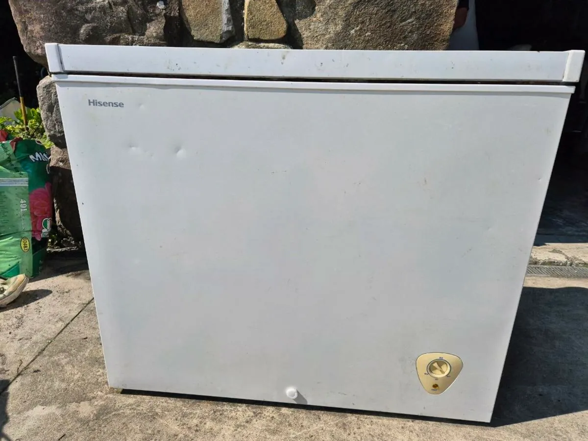 Chest Freezer - Image 1