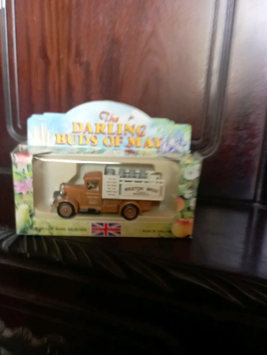 THE DARLING BUD'S OF MAY DIE -CAST MODLE' S - Image 4