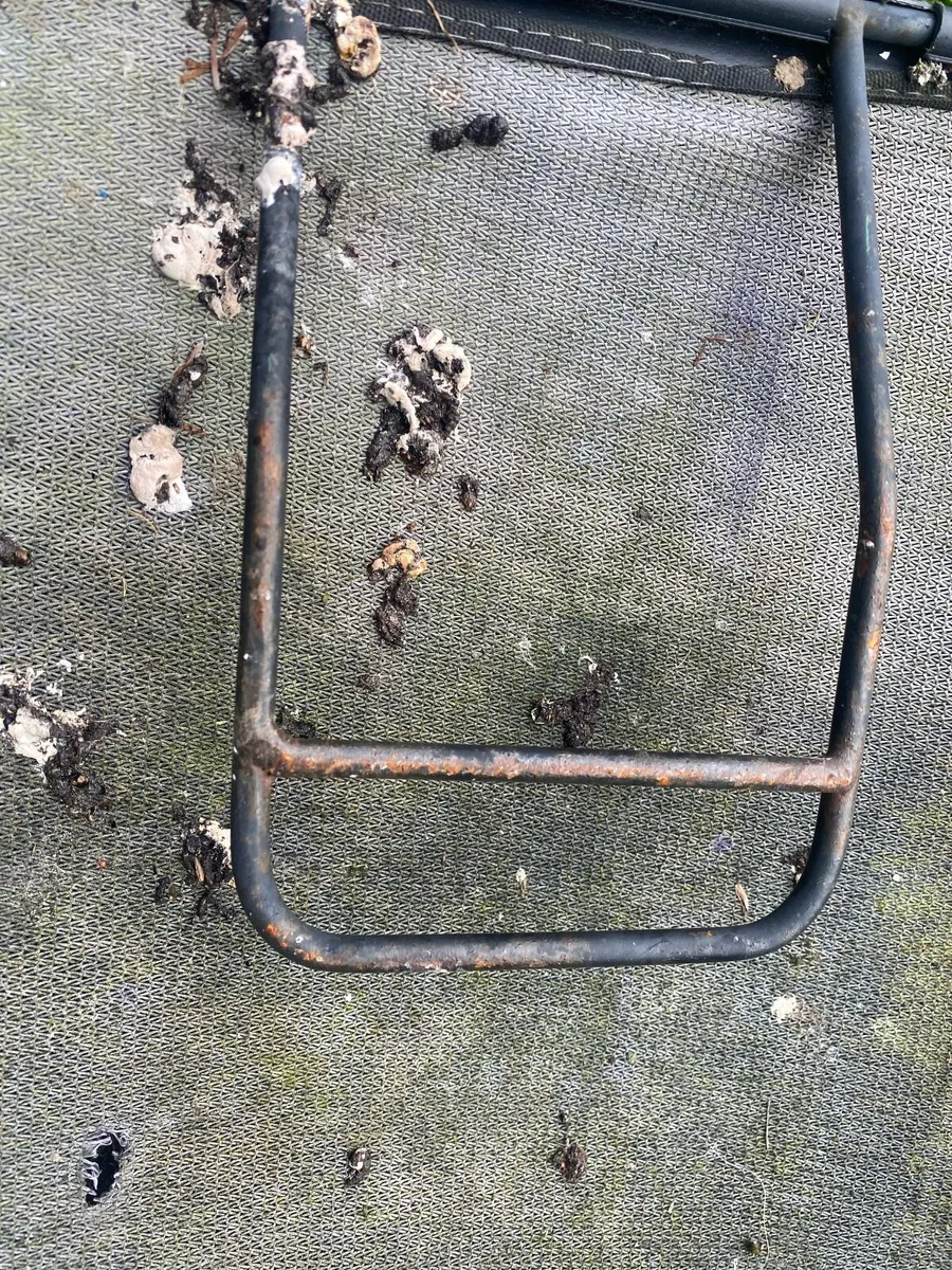 Lawnmower box pro lawn - Image 4