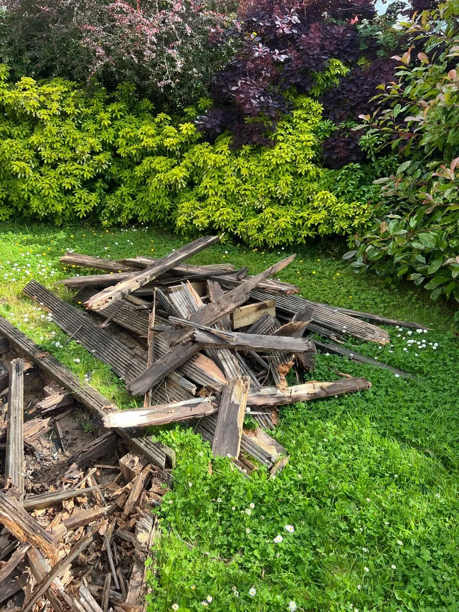 Timber for sale - Image 2