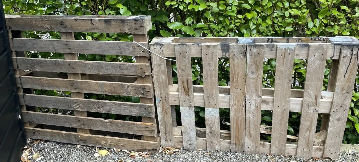 3 Wooden Pallets - FREE - Image 1