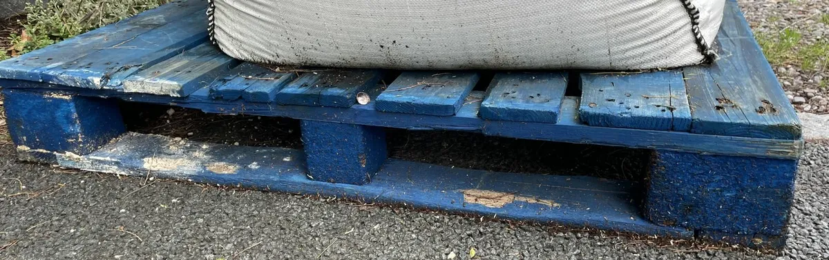 3 Wooden Pallets - FREE - Image 2