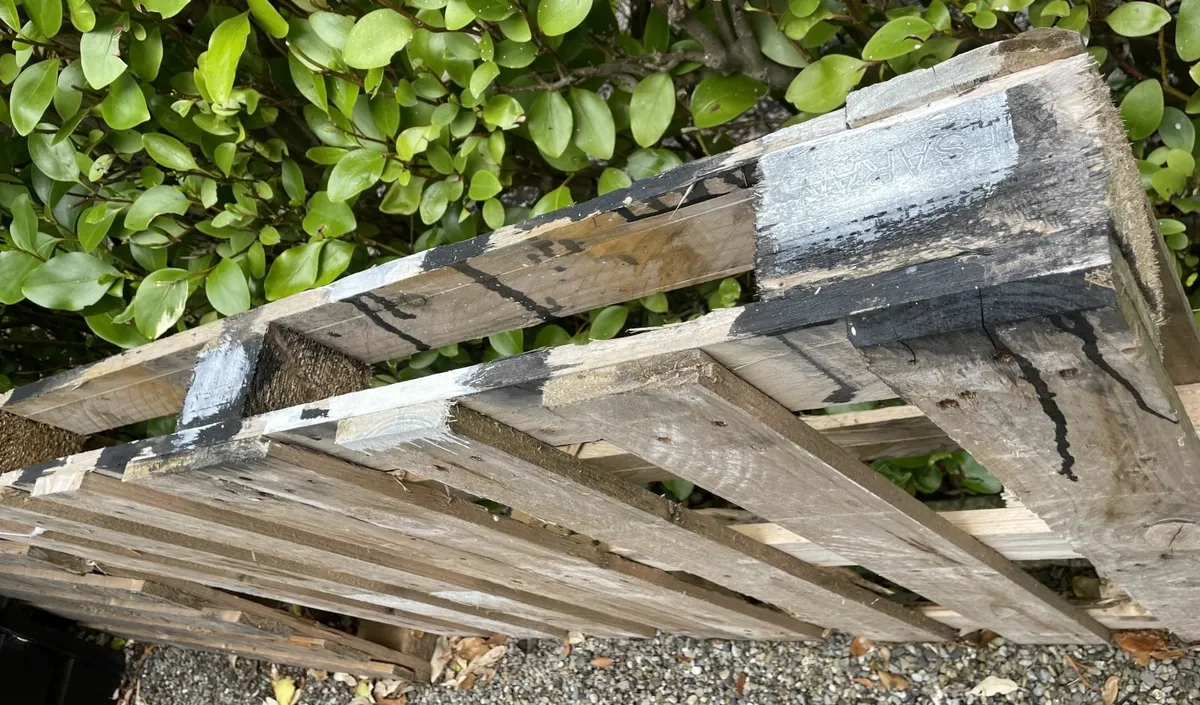 3 Wooden Pallets - FREE - Image 3