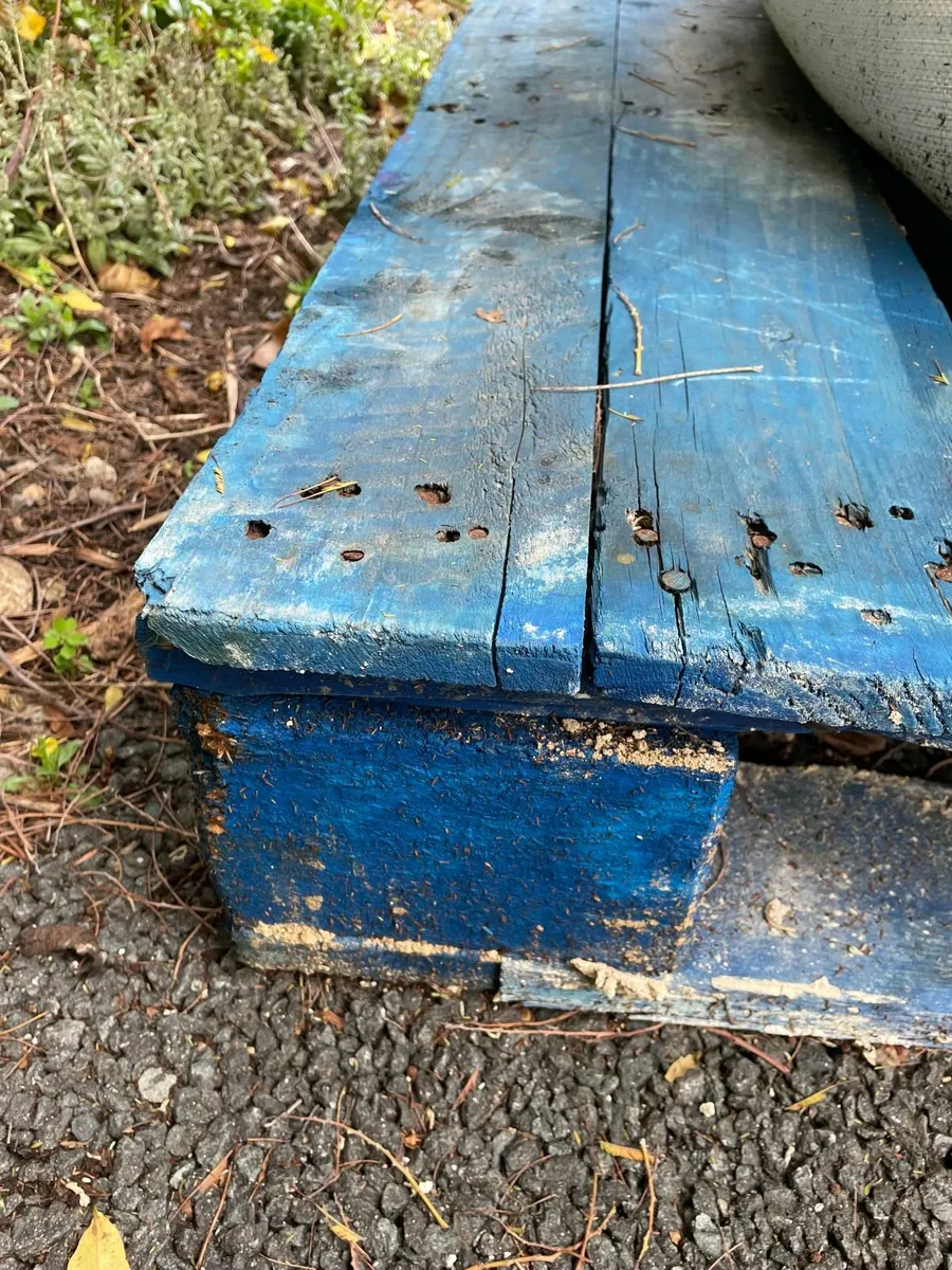 3 Wooden Pallets - FREE - Image 4