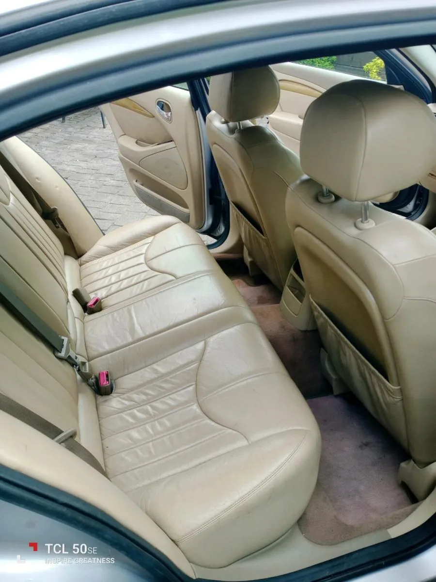 Jaguar - Image 3