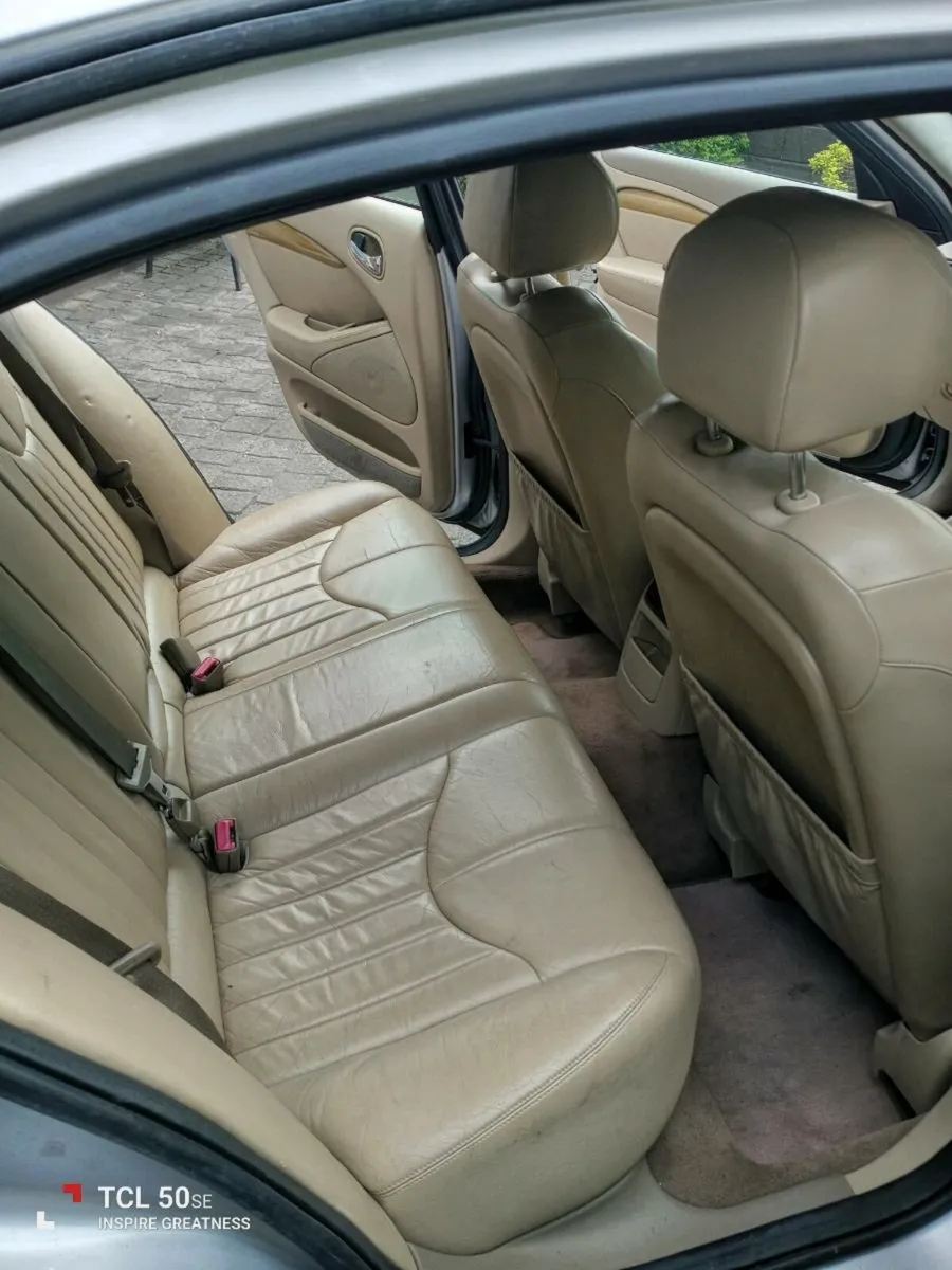 Jaguar - Image 4