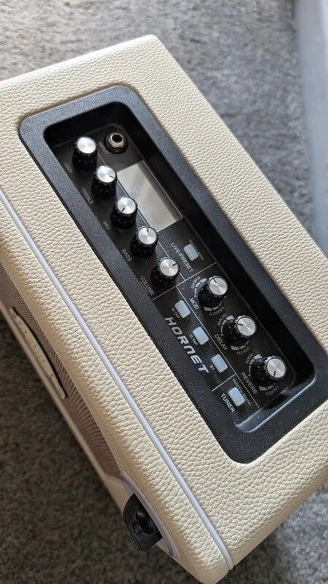 Mooer Guitar Amp - Image 3