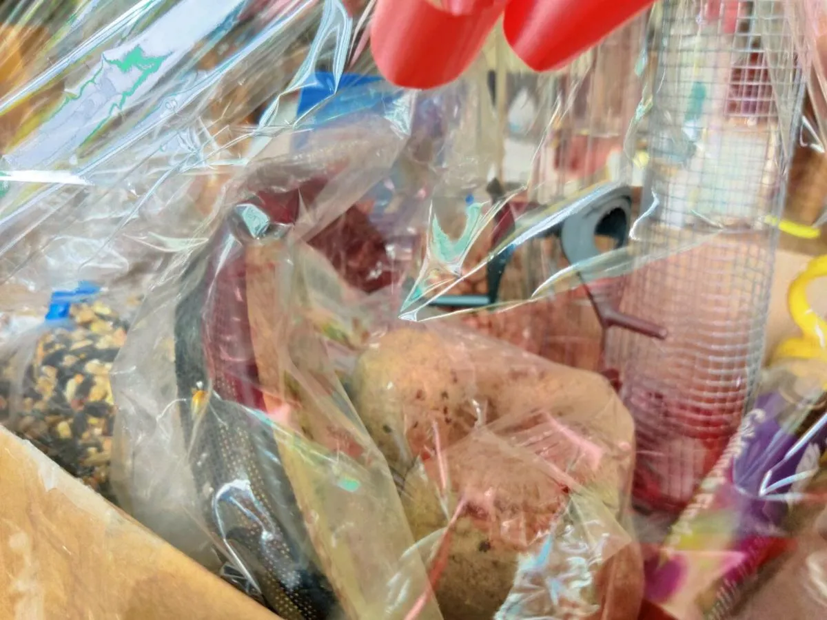 FEEDING STATION 3 in 1, HUGE Food Hamper & More  ! - Image 3