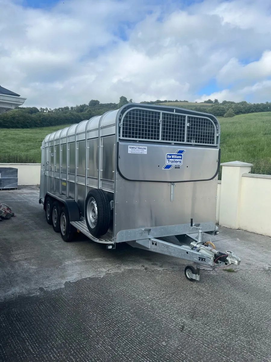 Brand new 16ft with decks - Image 1