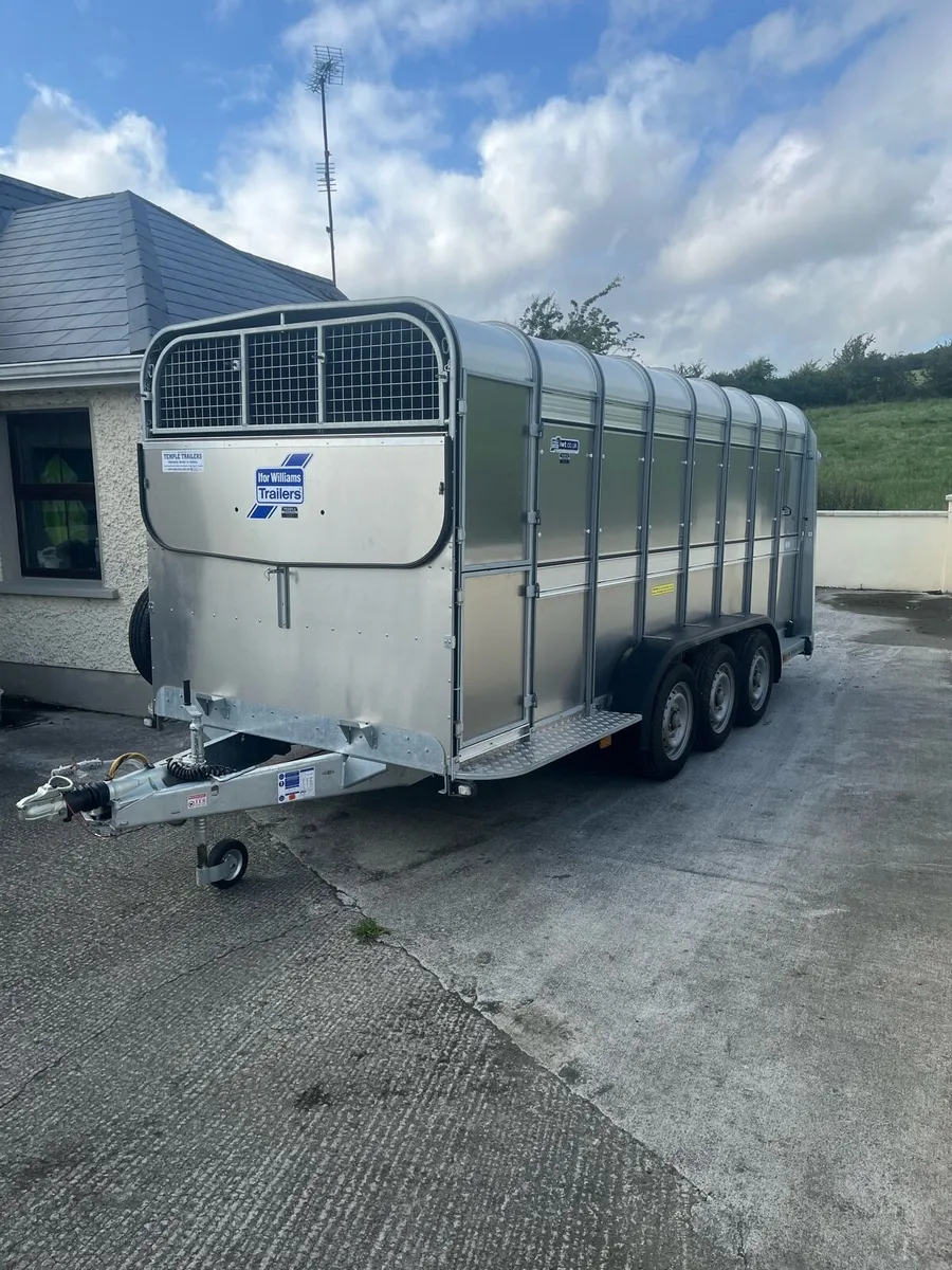 Brand new 16ft with decks - Image 2