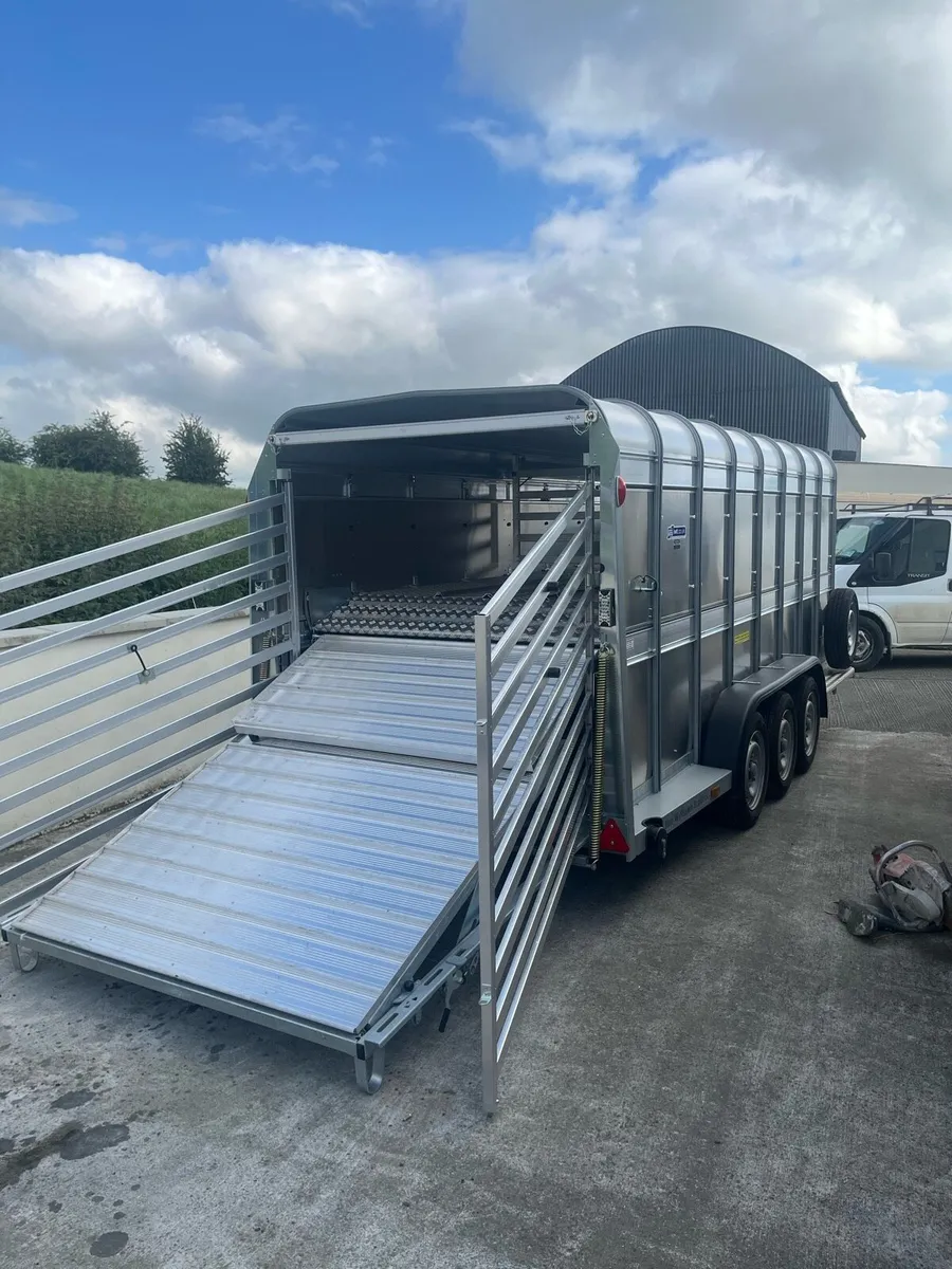 Brand new 16ft with decks - Image 4