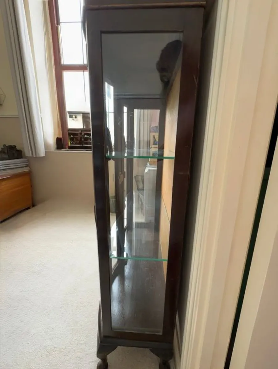 Fabulous Antique Glass Display Cabinet E 120 ONO - Image 3