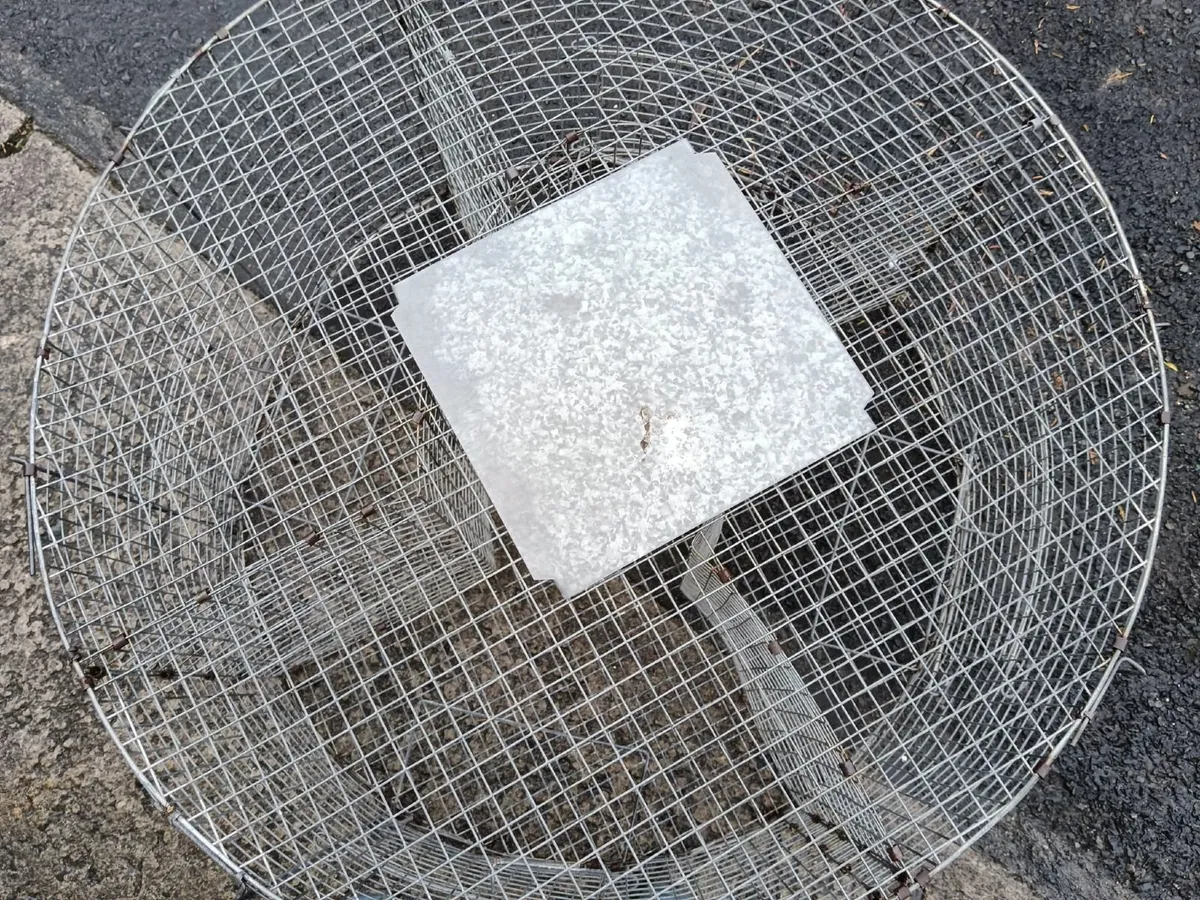 Round Multi-Catch Magpie Cage Trap - Image 2