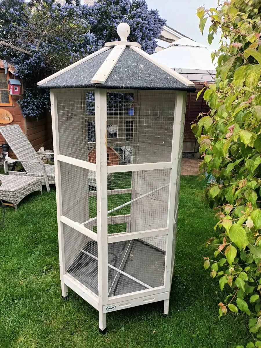Birdcage - Image 1