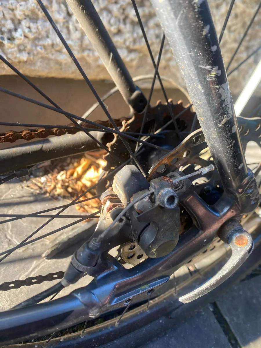Giant Bike - Image 4