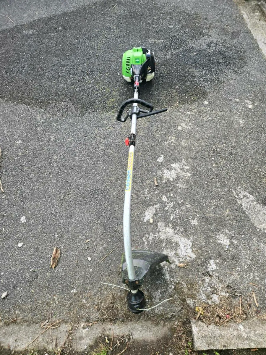 Florabest Strimmer - Image 1