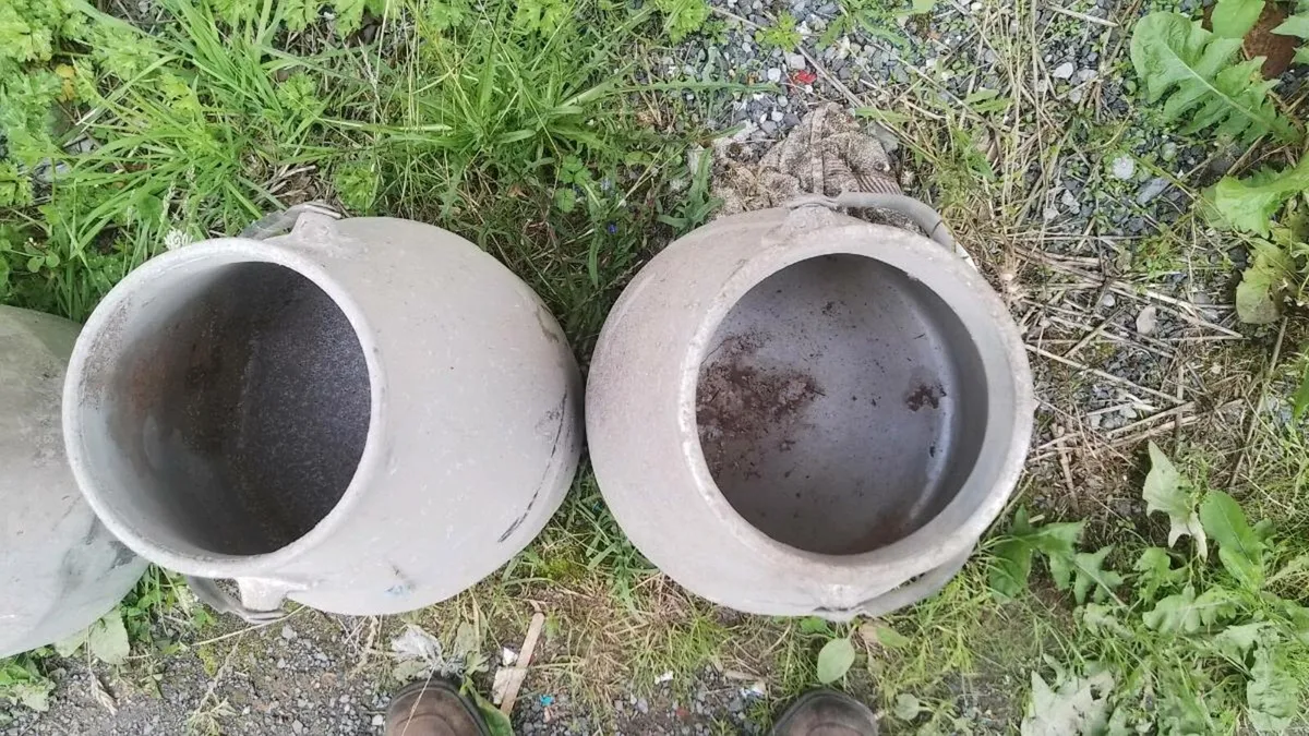 Control box. 12v & 24 v.  Milking buckets - Image 4