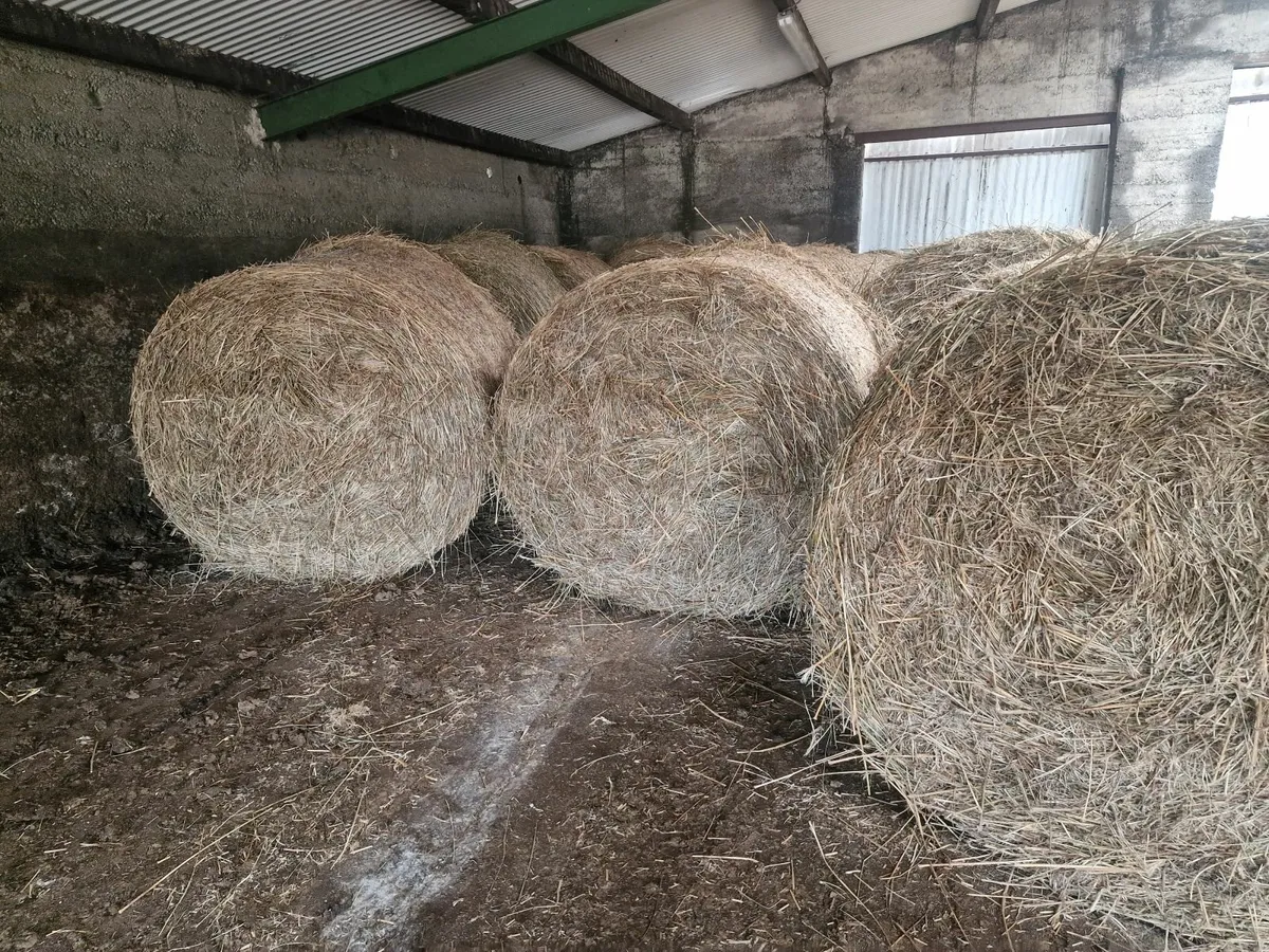 Bedding - Image 1