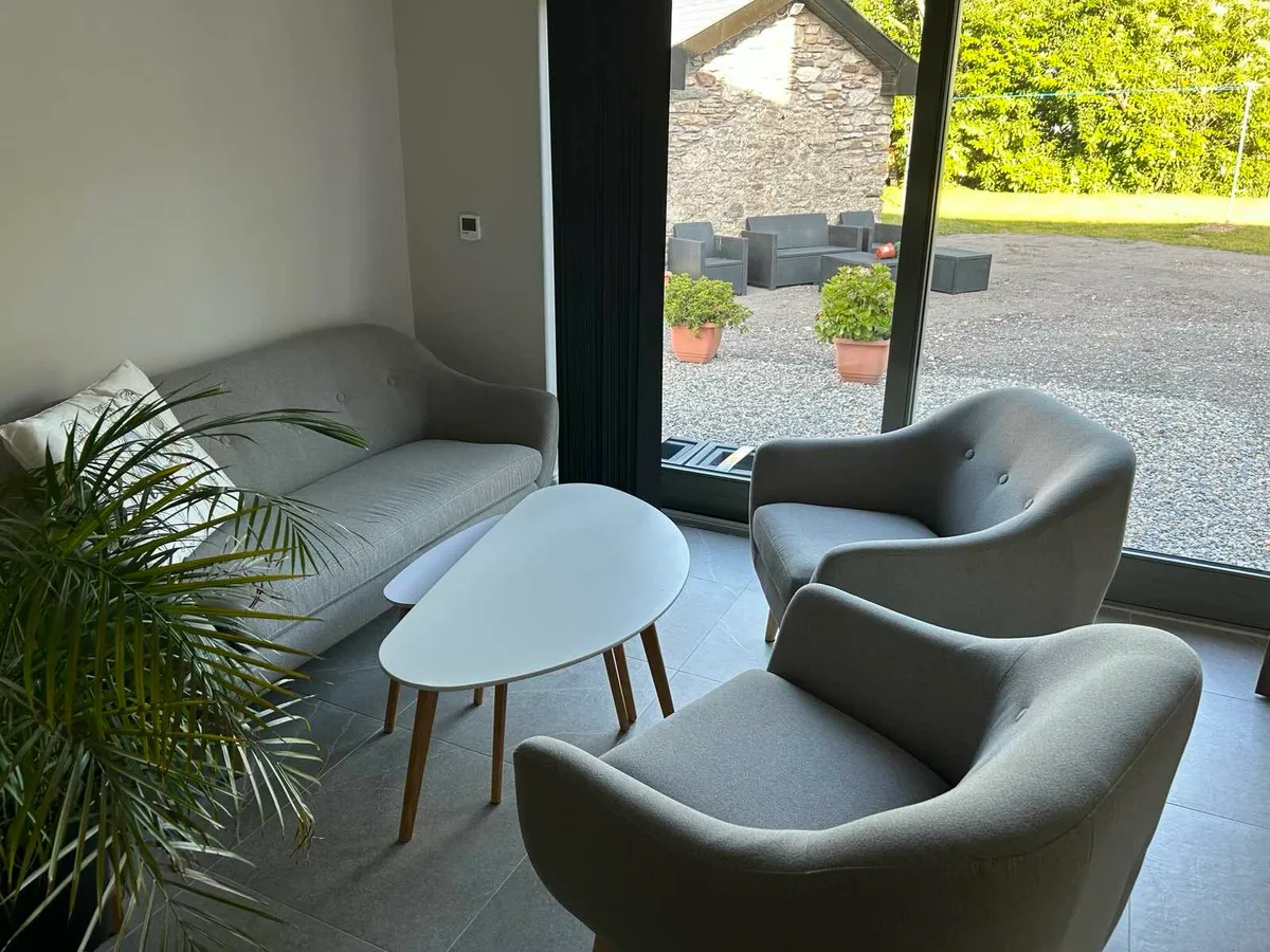 Sofa and Armchair Set New - Image 1