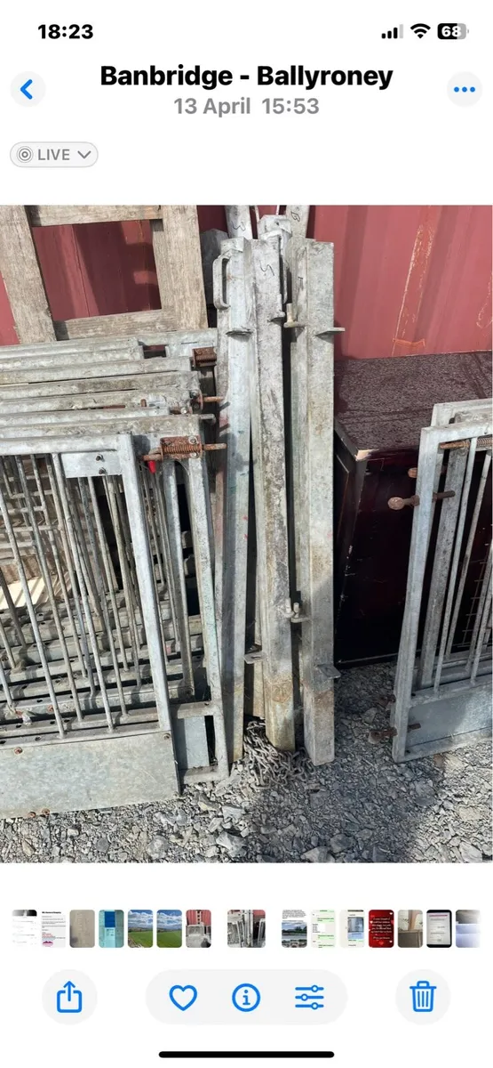 Sheep or calf pen gates and posts - Image 3