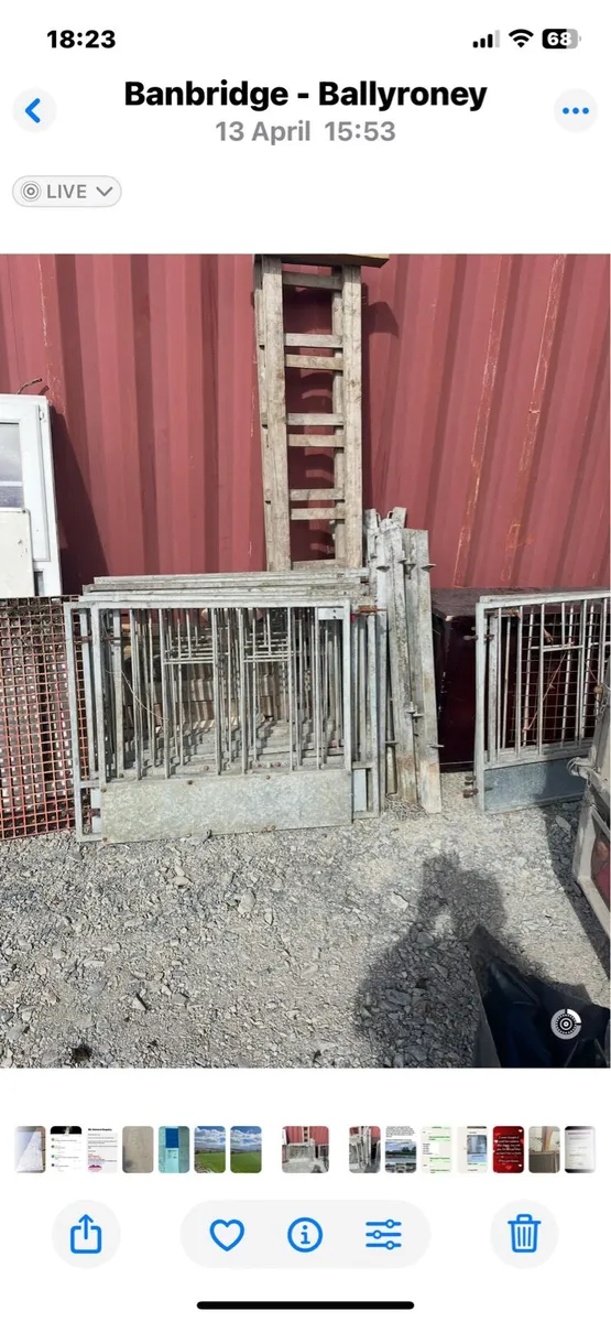 Sheep or calf pen gates and posts - Image 1