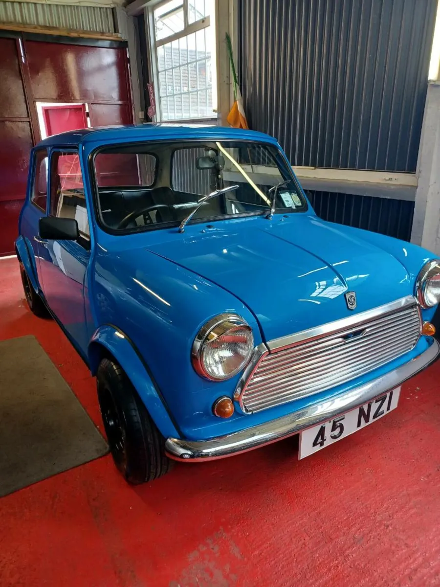 Mini Leyland - Image 1