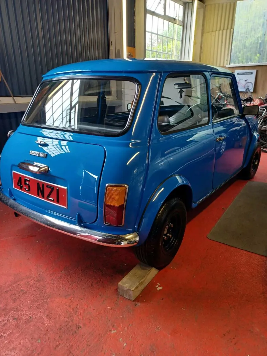 Mini Leyland - Image 3