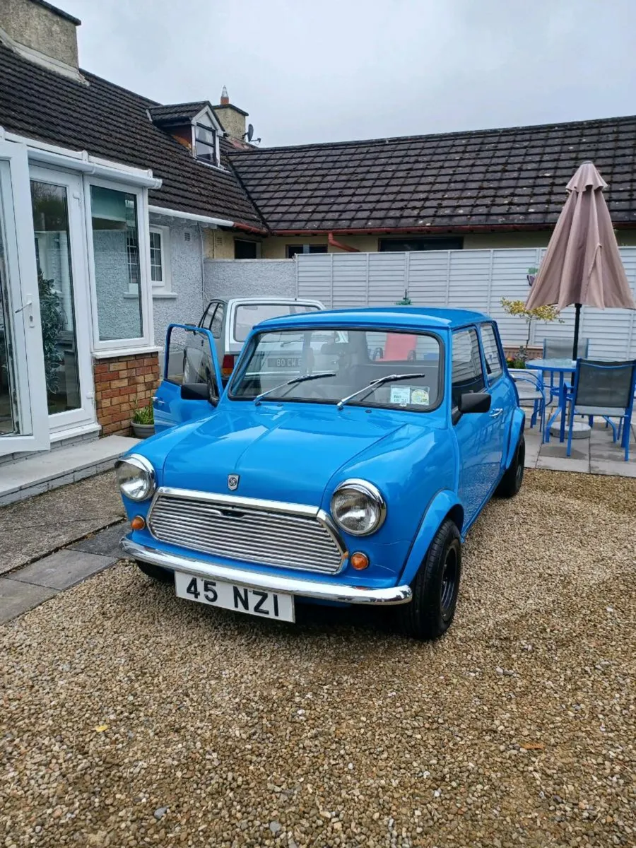 Mini Leyland - Image 4