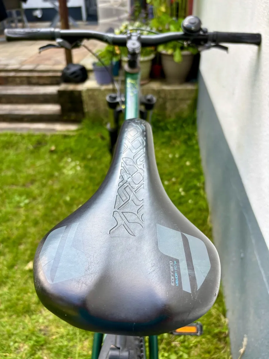 Carrera Mountain Bike - Image 4