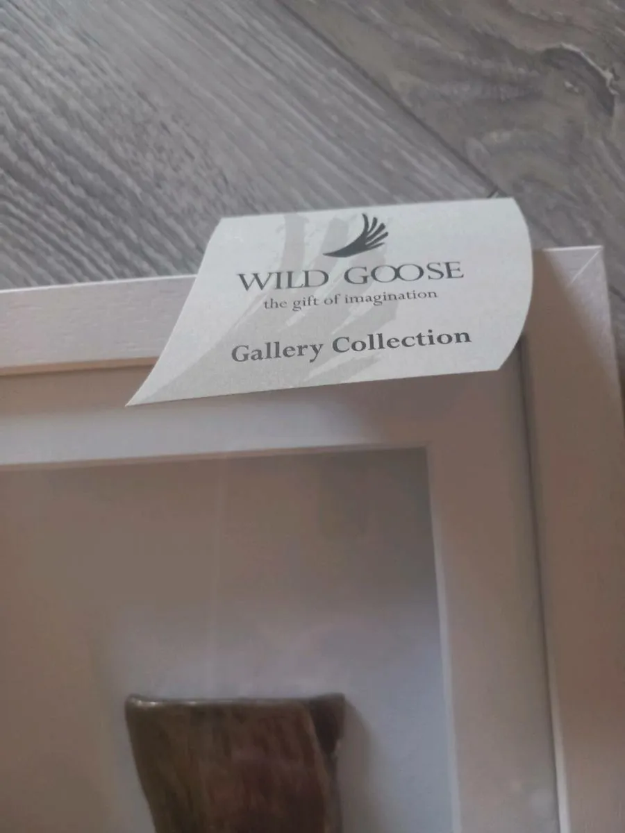 Wild Goose 'Talke This Hand' Frame - Image 2