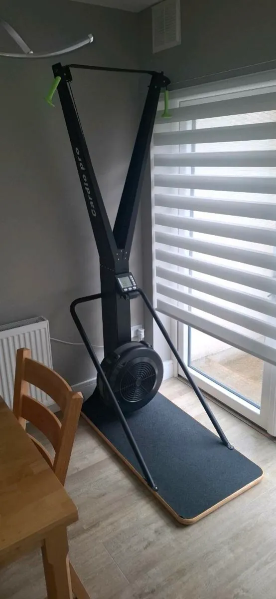 Ski Erg - Image 1