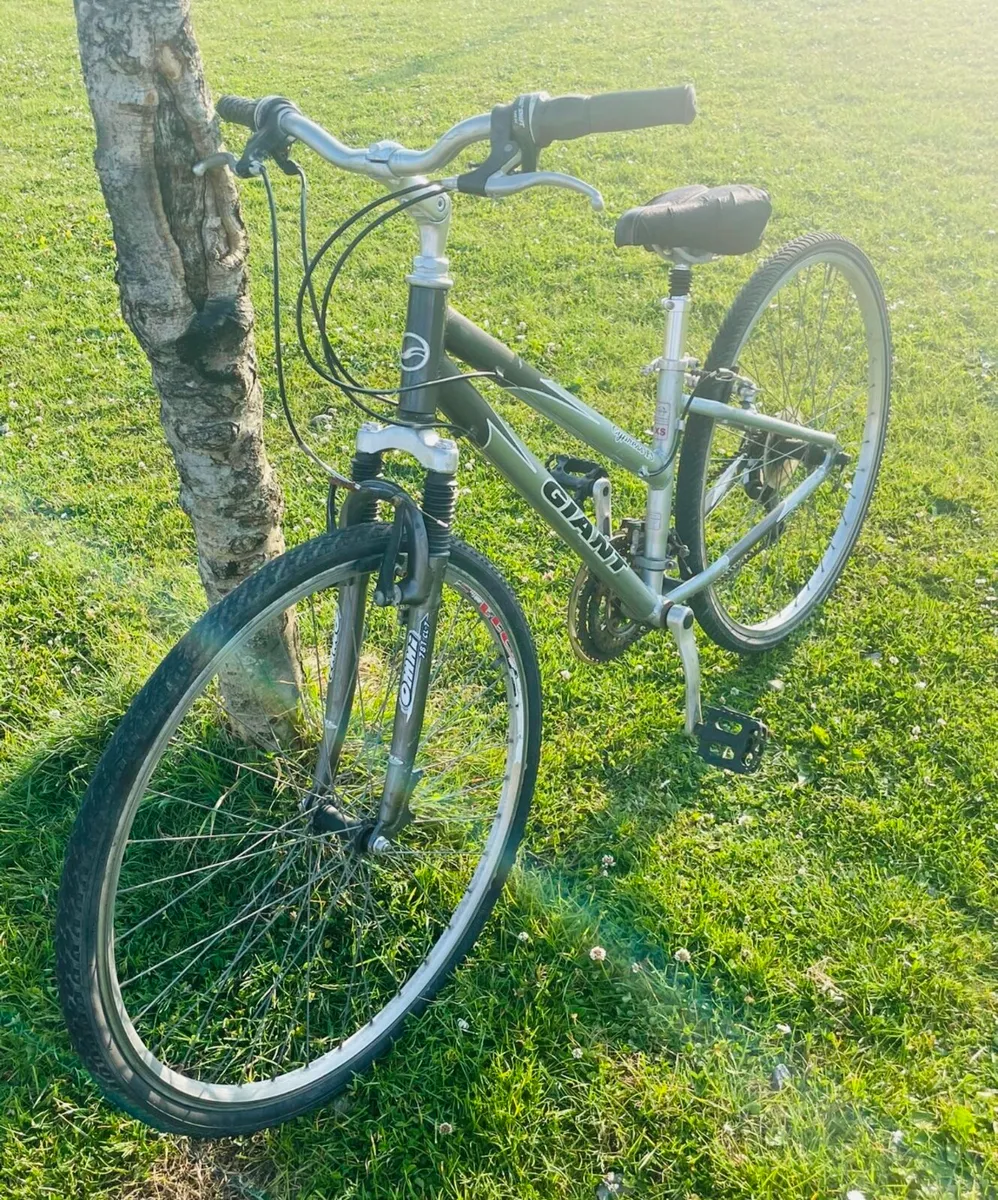 Giant bicycle for sale. - Image 2
