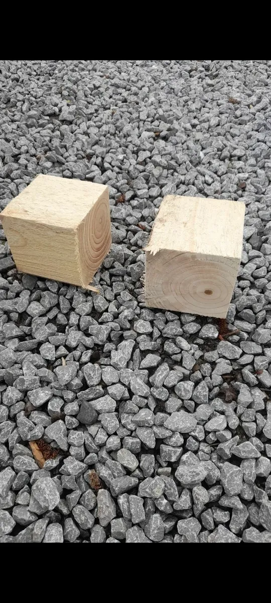 Firing - Image 4