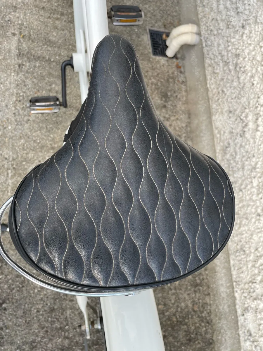 Basman 346 Dutch Beach Cruiser - Image 4
