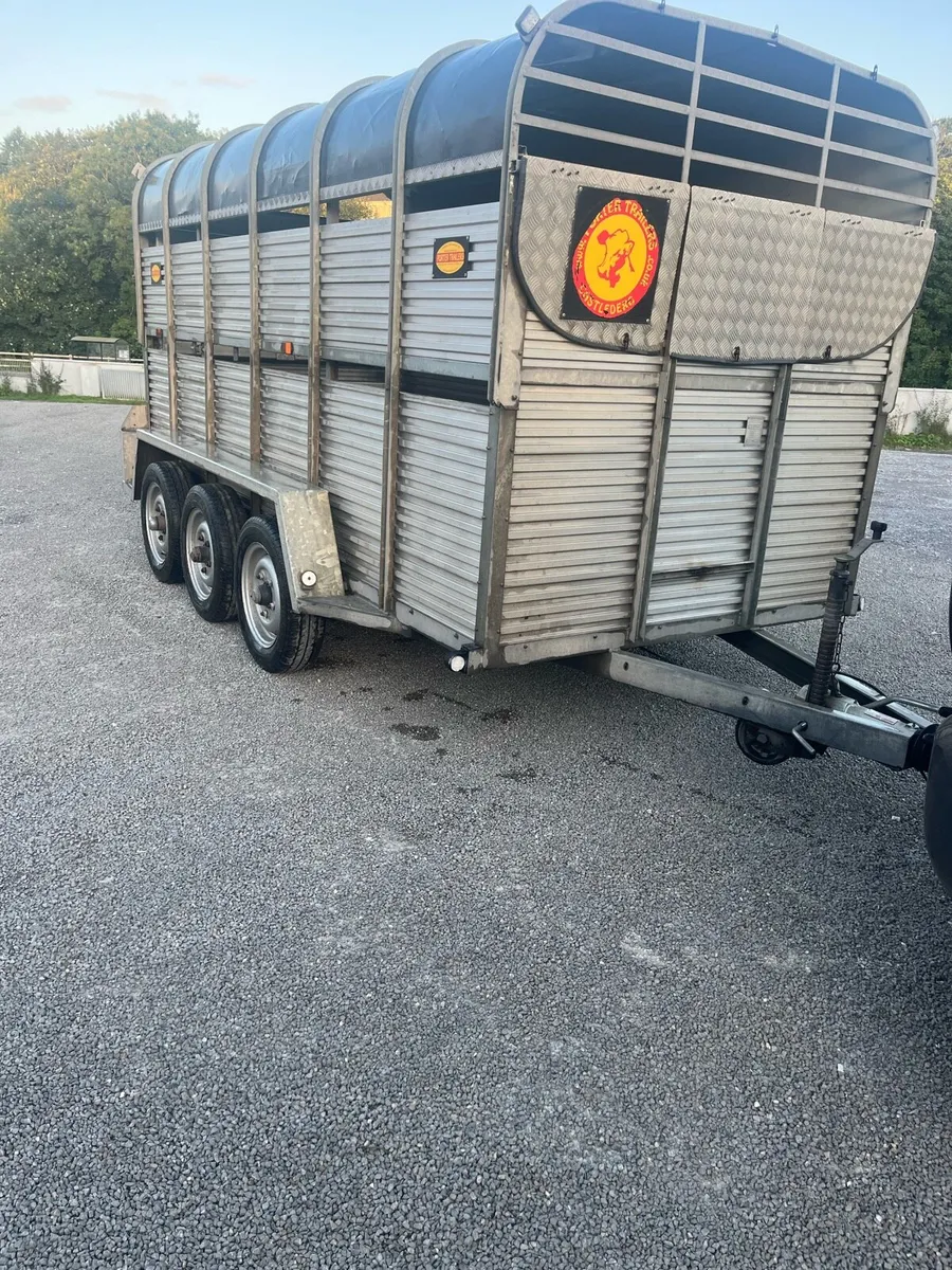 Porter cattle trailer13x6 - Image 1