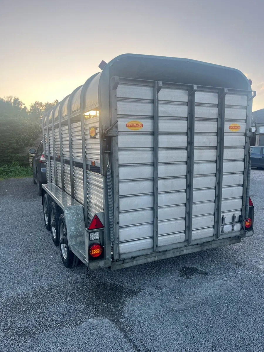 Porter cattle trailer13x6 - Image 2