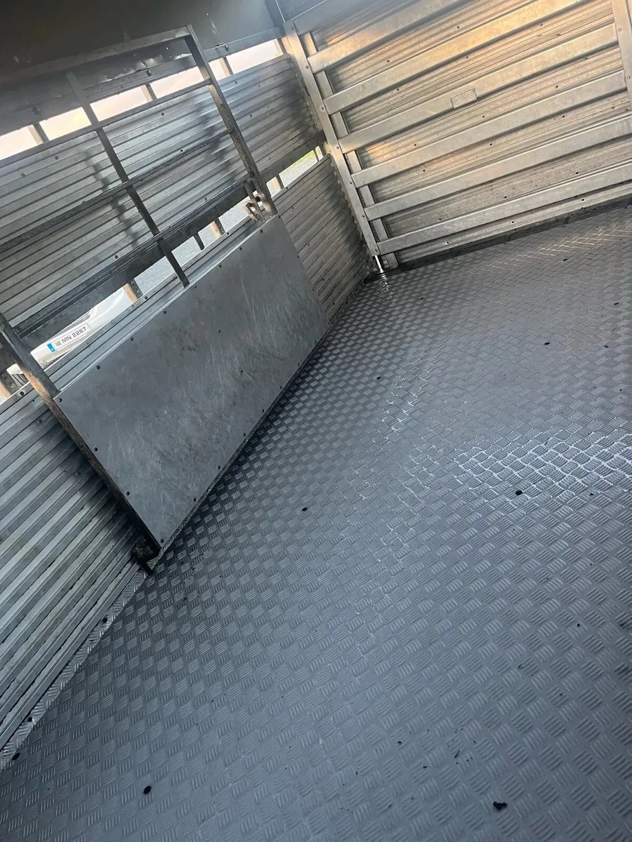 Porter cattle trailer13x6 - Image 3