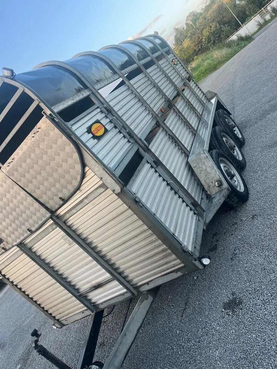 Porter cattle trailer13x6 - Image 4