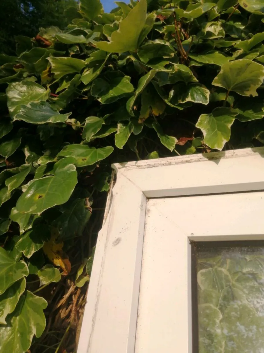 Door... - Image 3