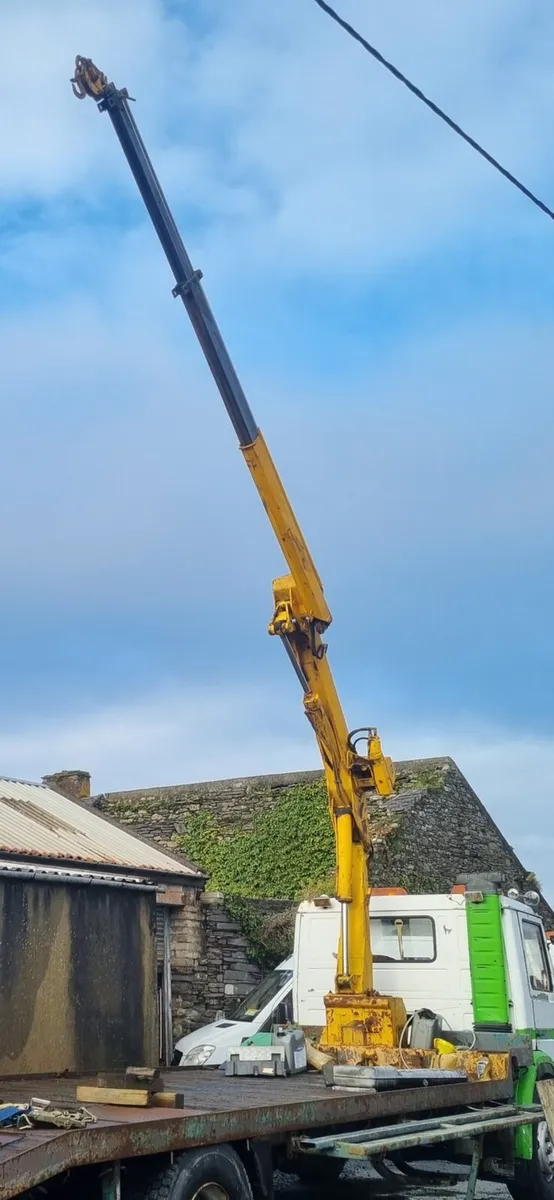 Tico Crane - Image 3