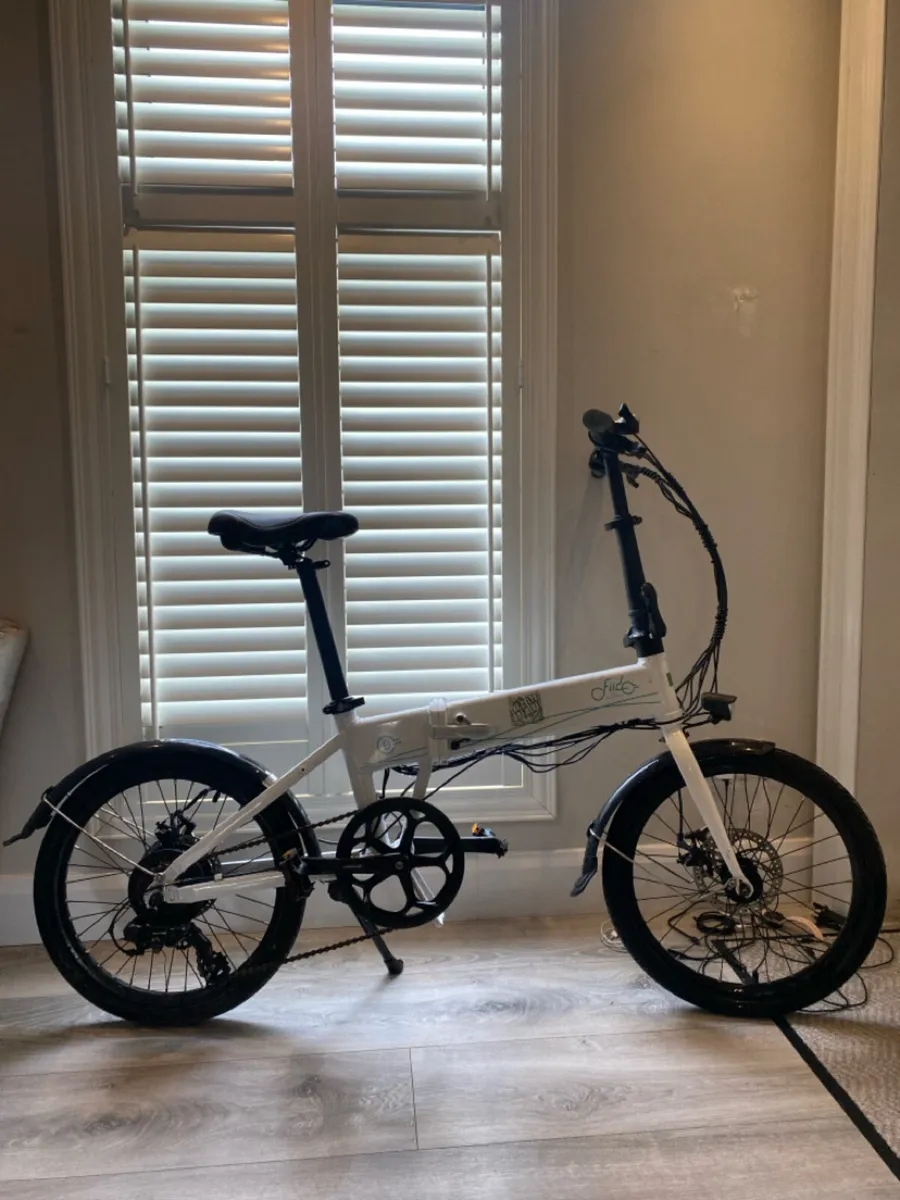 Electric Fido Biko - Image 3