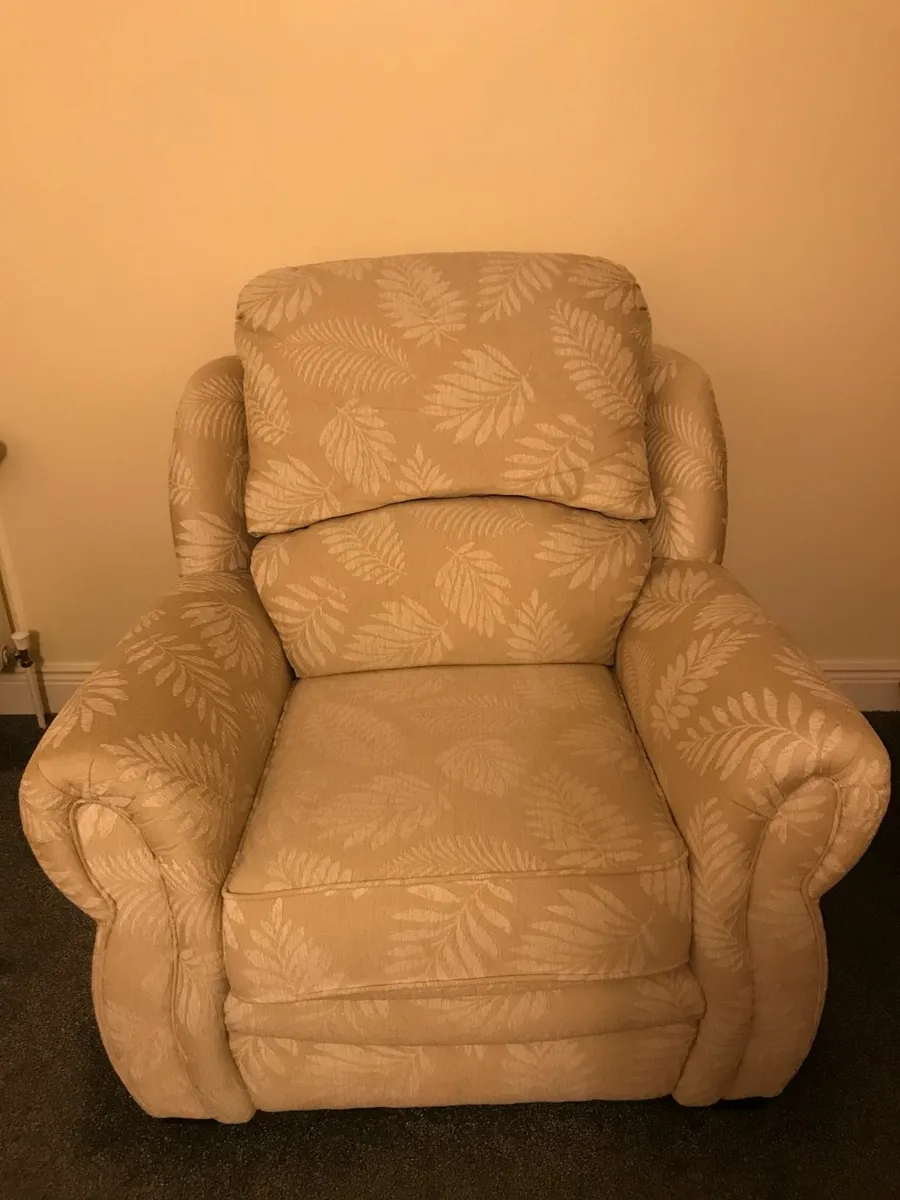 Sofa  & Chair - Image 1