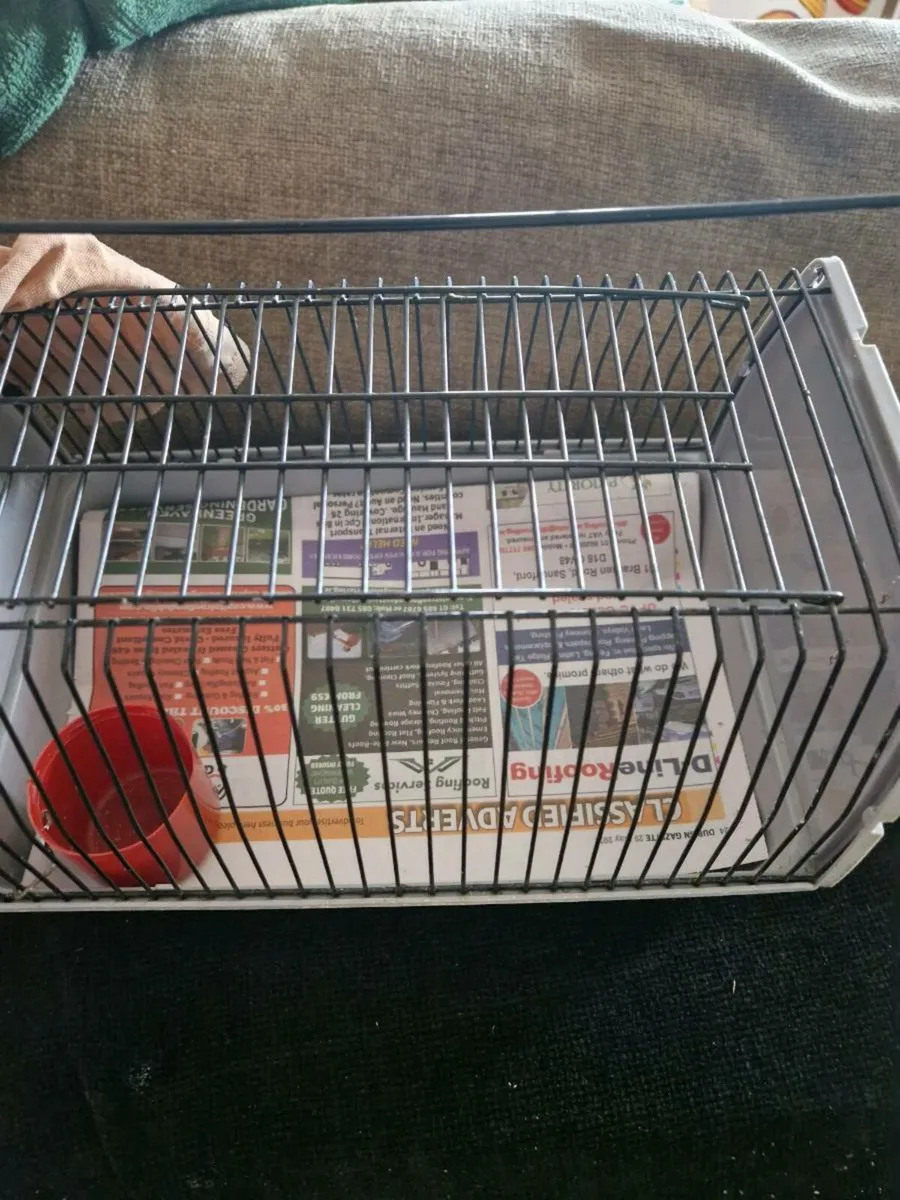 Pet accessories - Image 1