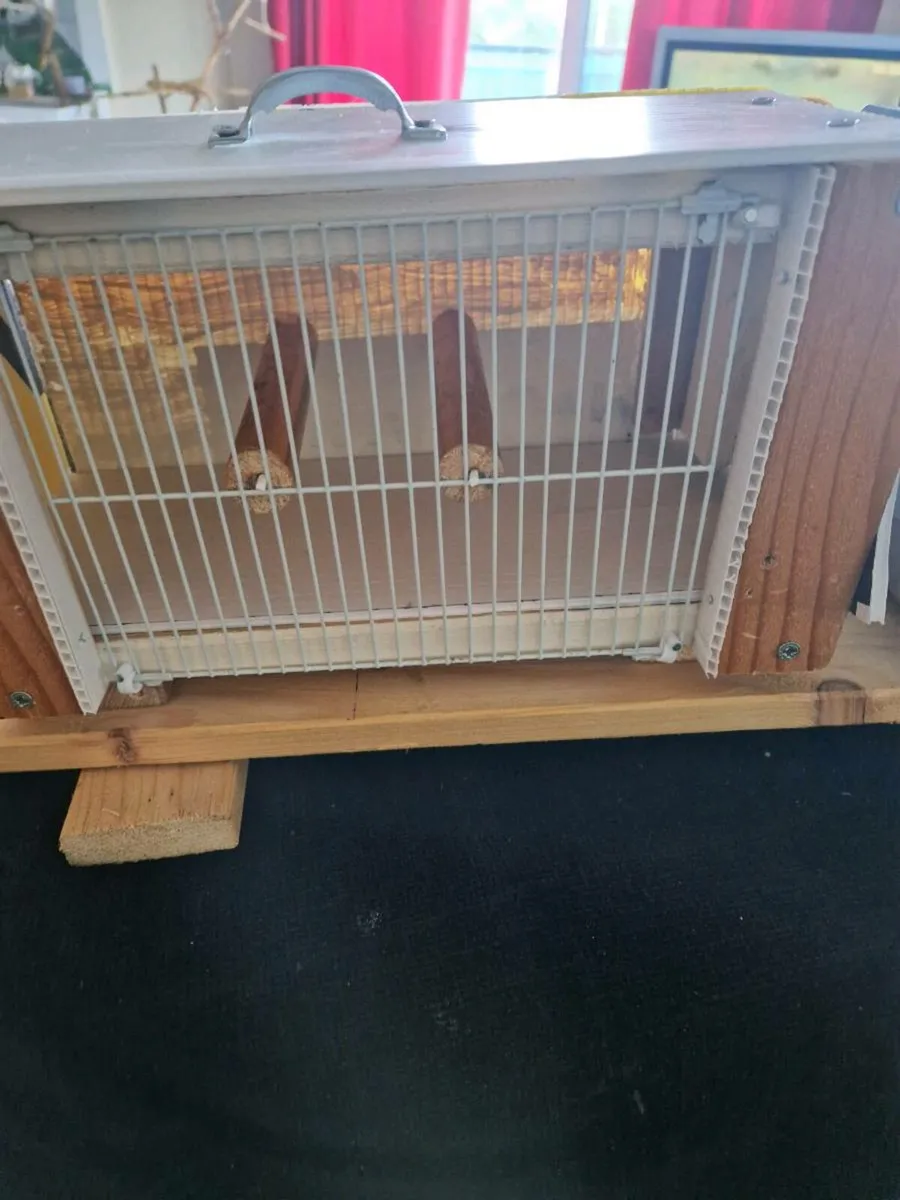 Pet accessories - Image 2