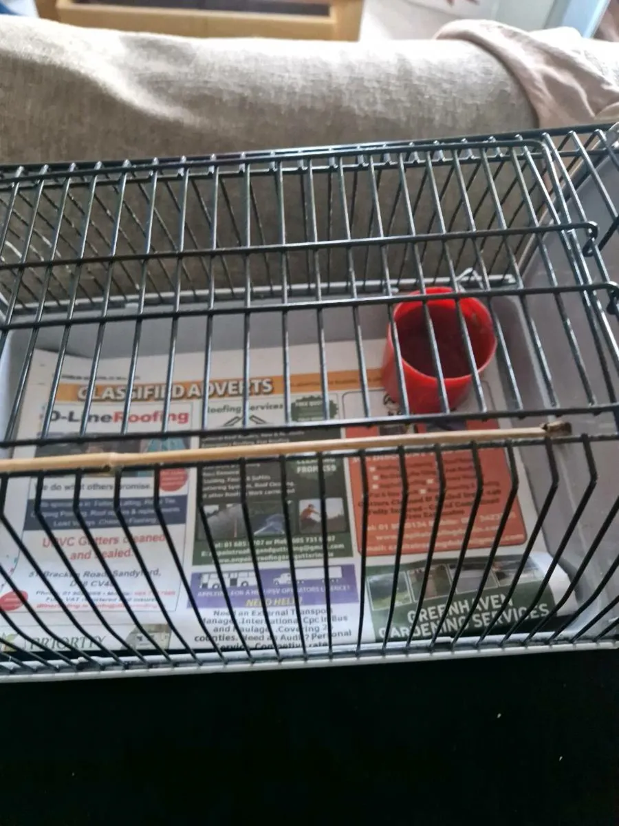 Pet accessories - Image 3