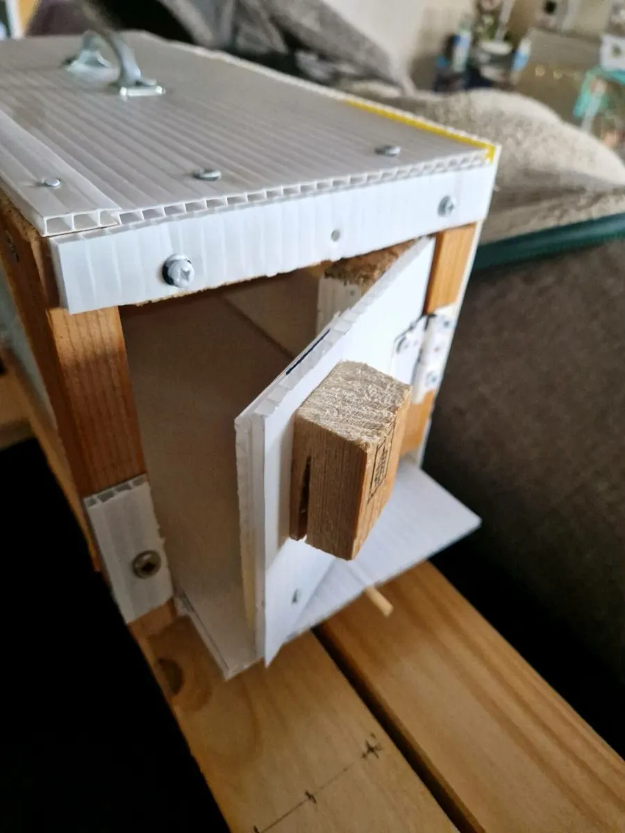 Bird trandport cages - Image 4