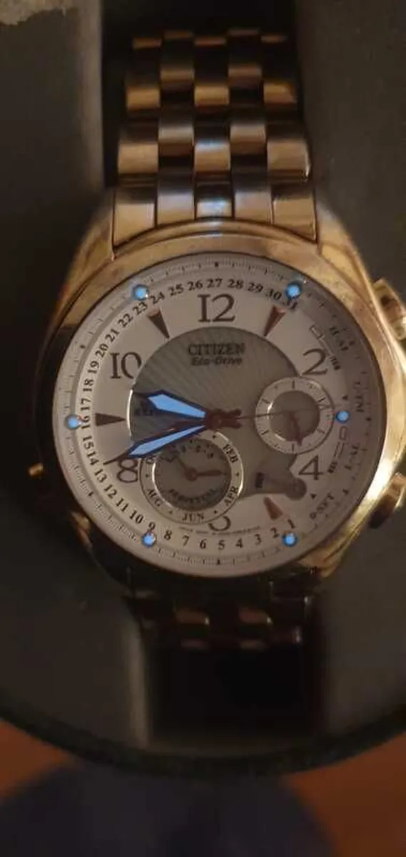 Citizen Eco Drive Calibre 9000 Minute Repeater - Image 3