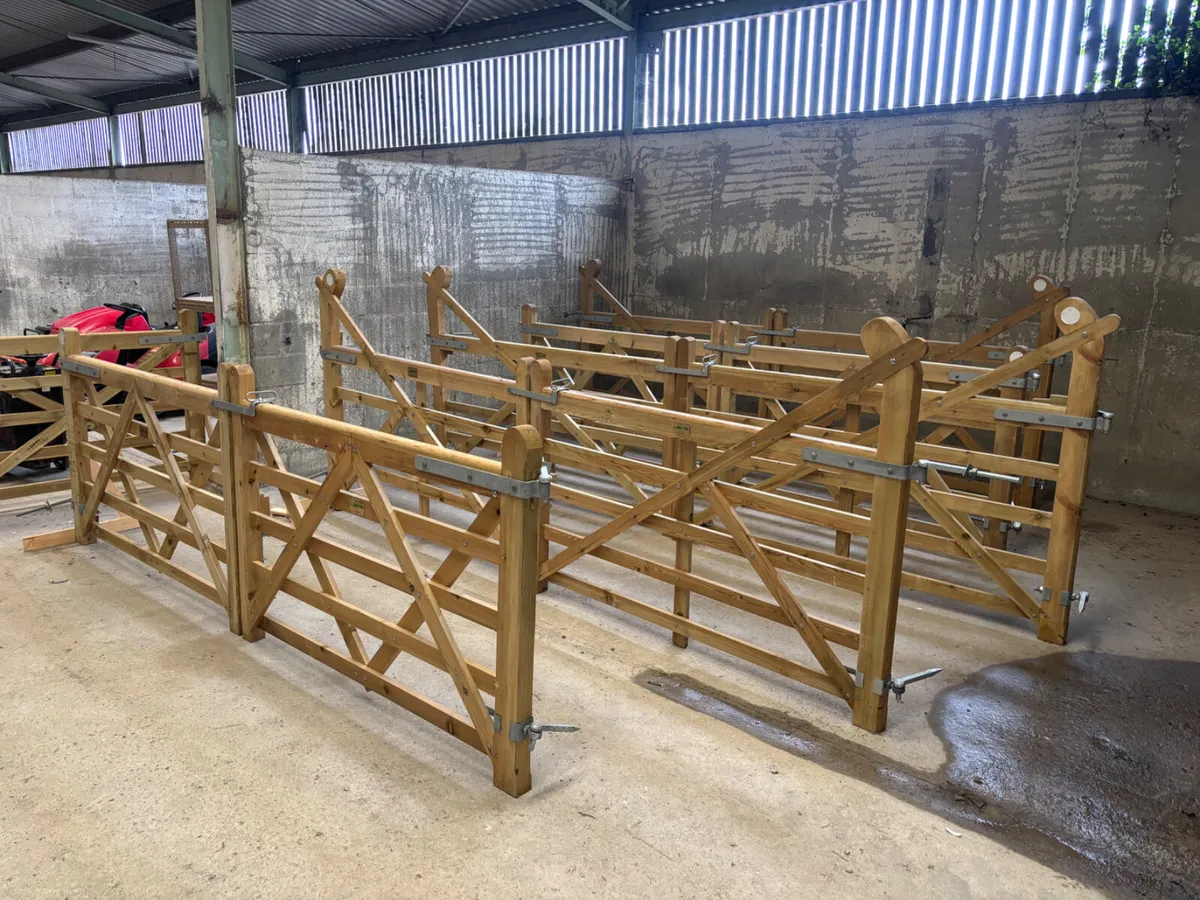 Misc Farm Items Timed Auction @ Portlaoise - Image 3