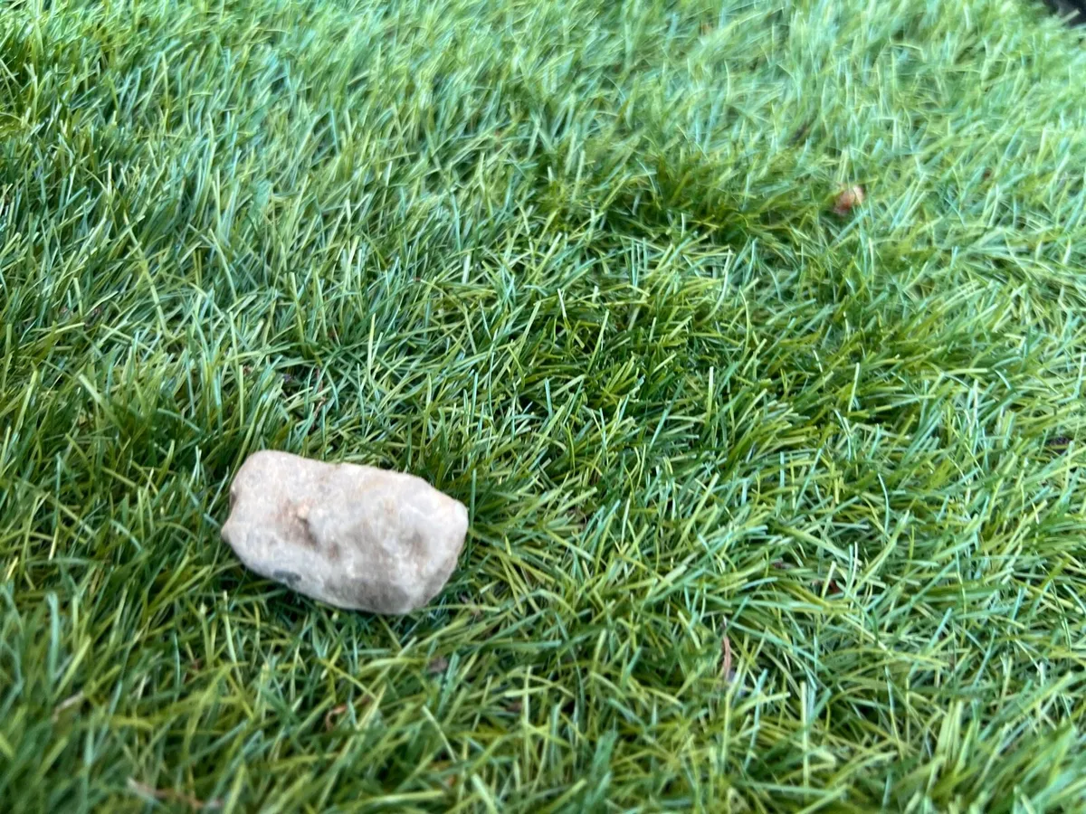Rock - Image 4